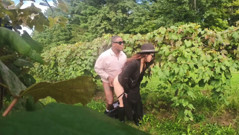 Picking Grapes Then Stepdaddy Pop Her Grape on the Vine Tree