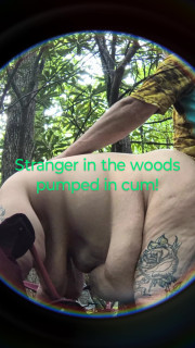 Bended This Stranger Over in the Woods Tree Covered