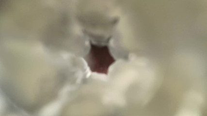 d1ll1nger - FLESHLIGHT - 2026-01-31