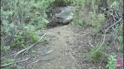 /beam/67a862c2cc498f247e8c040e