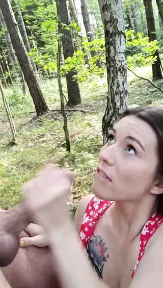 /beam/67a86326cc498f247e90eeb7