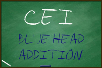 AUDIO ONLY - CEI blue head addition