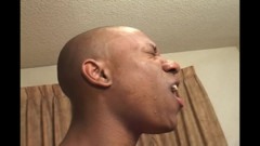 Tits Bouncing With Every Thrust  