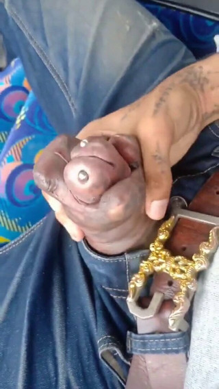 WTF is this? Can someone please explain...?!?!