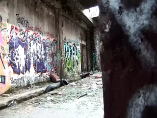 /beam/67a86282cc498f247e88eecf