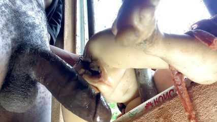 Second Desi Anal sex with Bhabhi