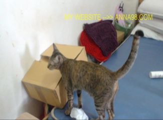 /beam/67a86083cc498f247e6da90f