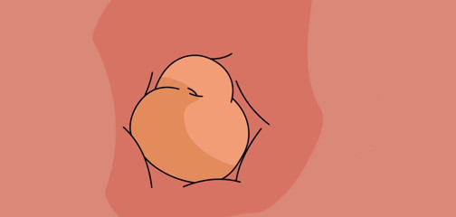 American girl fucking animation