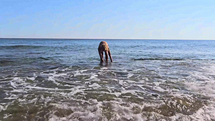 Skin dippin' n' some love makin' - Gigi and Dave -  standard - Shemale fucked on nudist beach