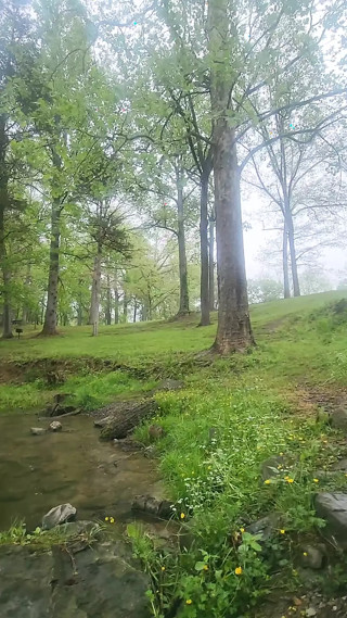 Down by the river.
