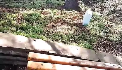 /beam/67a862eacc498f247e8dface