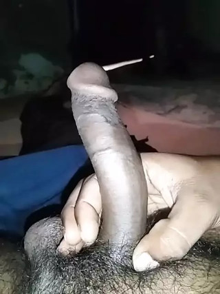 Single Bull With Big Cock Tool Masturbation