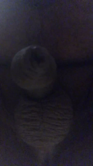 Facesitting with Dick and Ass Show