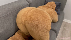 Reindeer farting 3