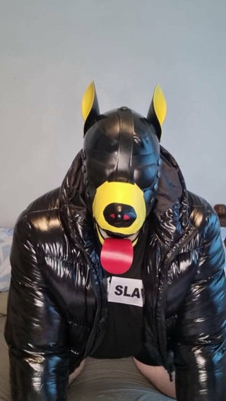 Scally Pup Gagged Trailer