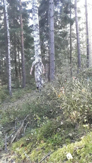 naked in public forest