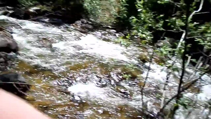 nature cum