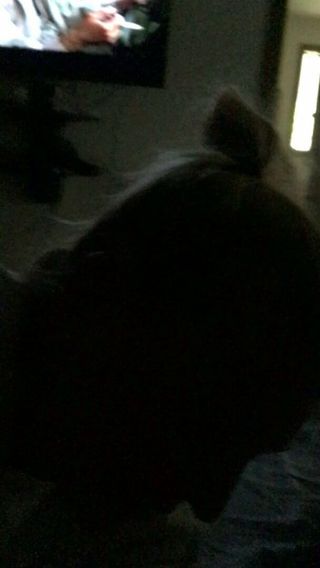 /beam/67a86131cc498f247e77f1f3