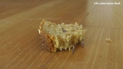 /beam/67a86061cc498f247e6b9f1c