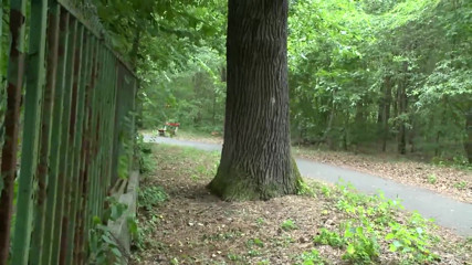 Blowjob deutsche queens challenge - Scene #02 - Bild 3