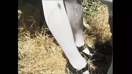 /beam/67a862eccc498f247e8e10f4