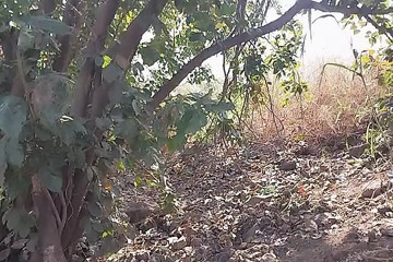 Jungle mein jakar sex Kiya desi Ladka