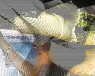 /beam/67a862a8cc498f247e8adc76