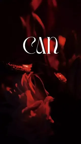 /beam/67a8634bcc498f247e92df2a