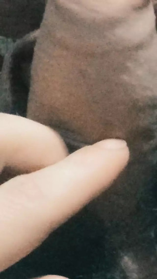 masturbating with my big cock full of milk ready for you