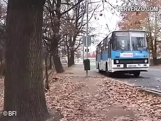 /beam/67a86377cc498f247e9517a6