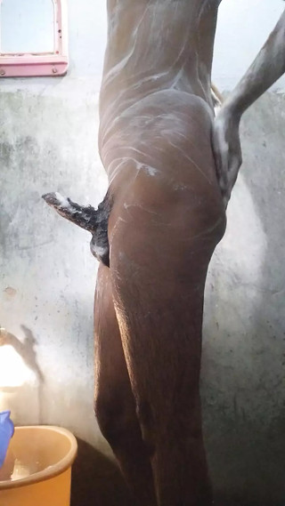 Young indian boy with huge phimosis dick jerking in the bathroom