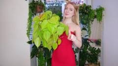 The Plants I Got For Christmas