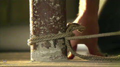 Daisy Duxe between the poles