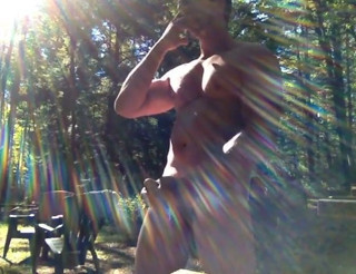 Morning of the forest