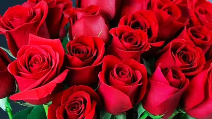 /beam/67a86396cc498f247e96d28f