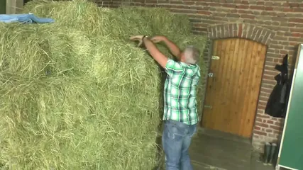 /beam/67a8632ecc498f247e915a40