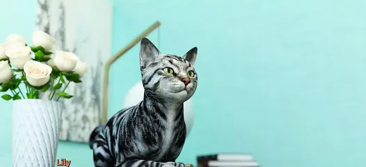 /beam/67a86315cc498f247e901735