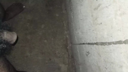 Indian sex video