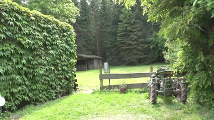 Cock Suck, Outdoor and Cumshot Fuck with Chick Babes Compilation