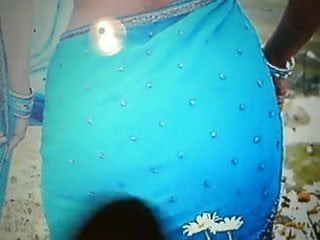 Tribute to Indian Aunty's Ass
