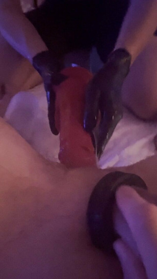 Fun gode