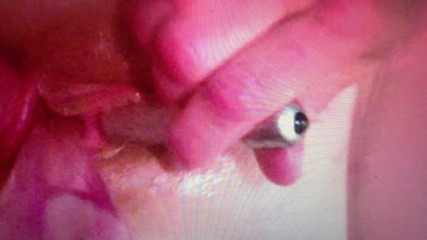 Anal wet pussy