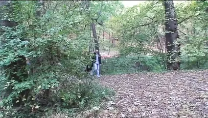 /beam/67a86230cc498f247e850ed2