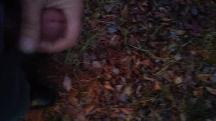 Risky Roadside Cum
