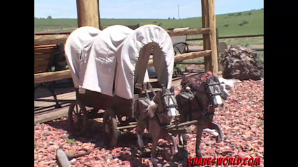 Shane's World Gets Rode Hard And Put Away Wet