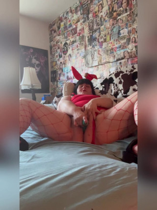 Bunny pleasure
