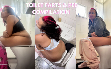 Real Daily Toilet Farts & Pee Compilation Personal Bathroom Moments