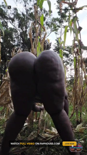Shaking It Outside in the Village Maize Plantation