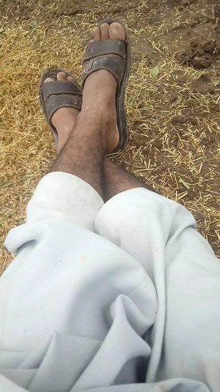 XXX XML gkzkvsd