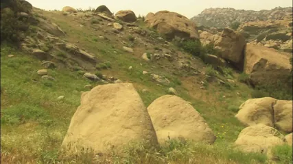 /beam/67a86264cc498f247e878afa